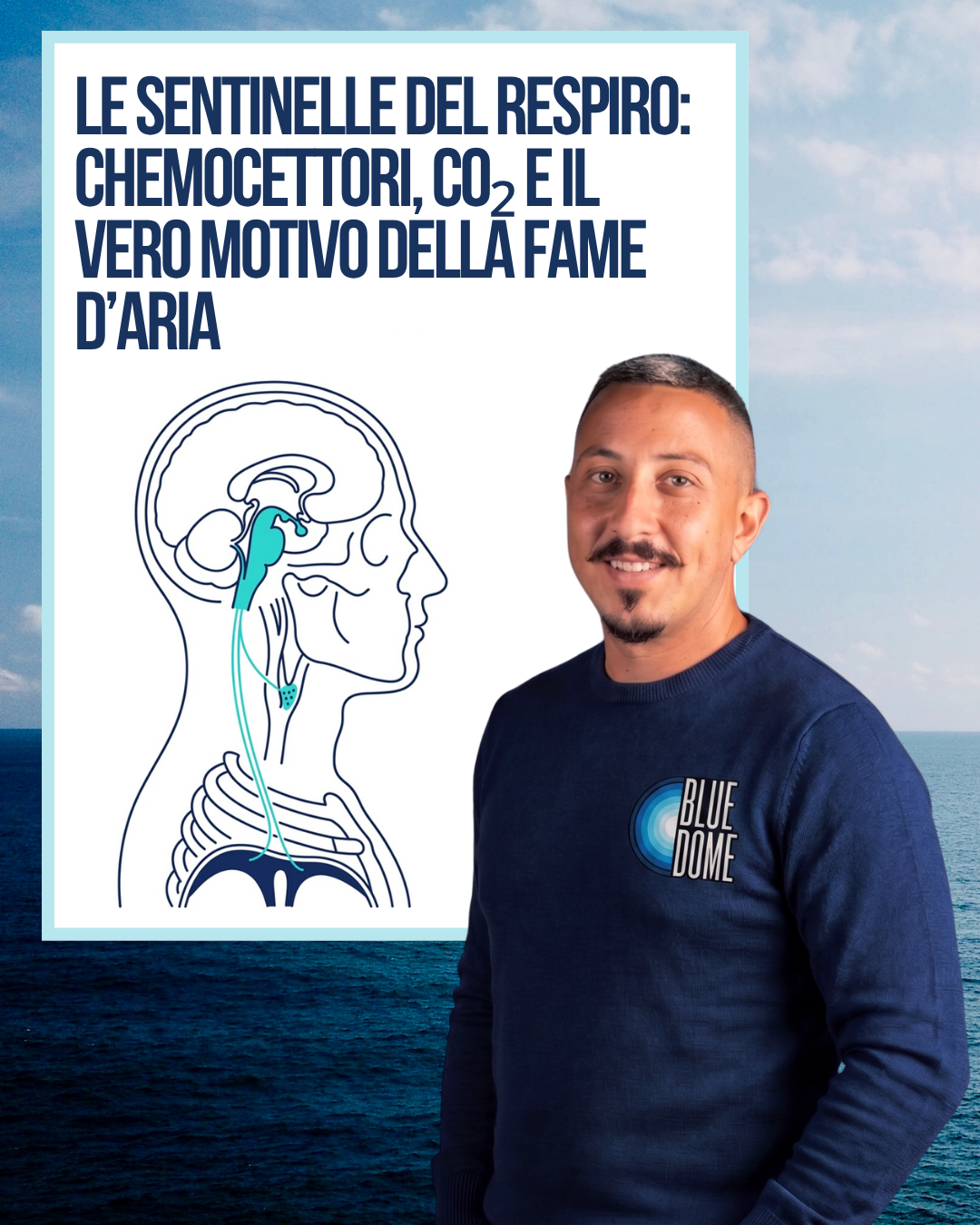Le sentinelle del respiro: chemocettori, CO₂ e il vero motivo della fame d’aria
